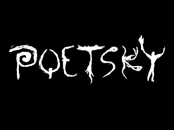 Poetsky cover image