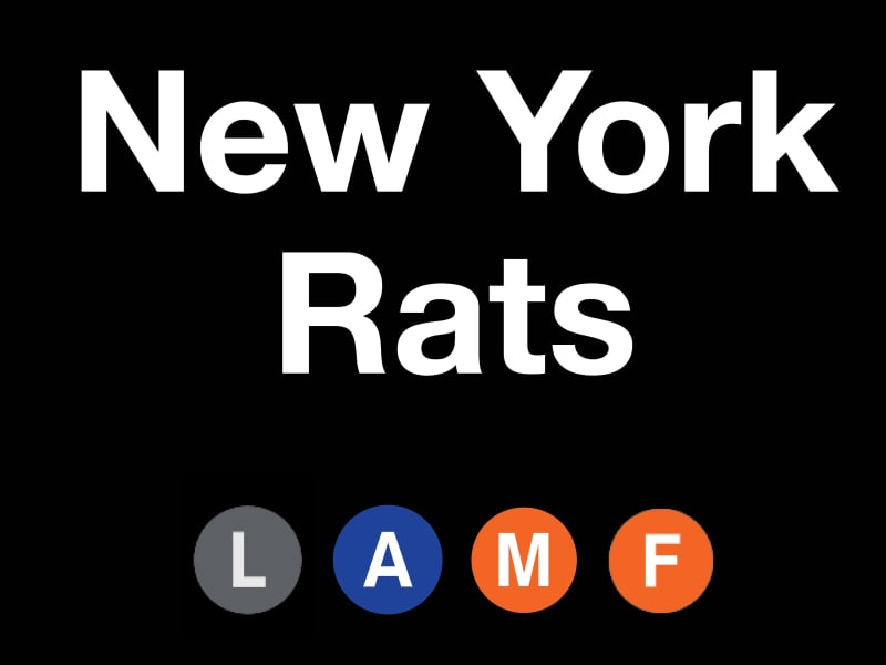New York Rats cover image