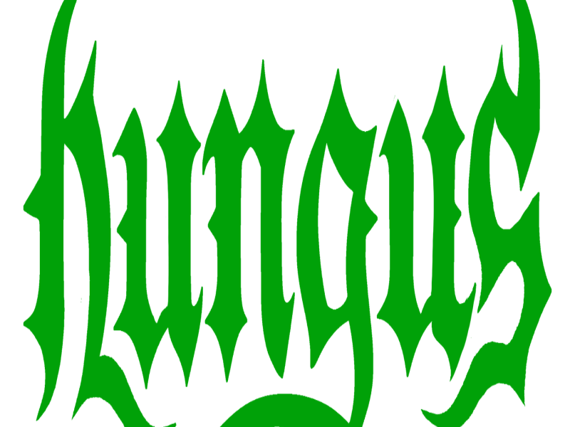 Hungus cover image