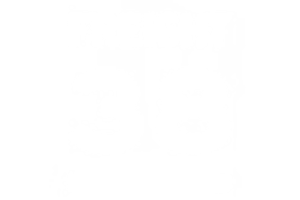 Freight 38