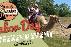 Labor Day Weekend