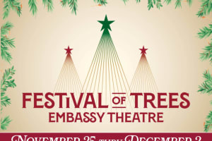 Festival of Trees