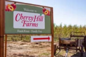 Fall Festival and Corn Maze