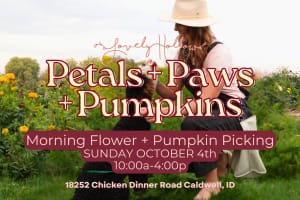 Petals + Paws + Pumpkins