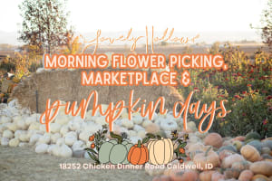 Last Pumpkin Days + Marketplace!