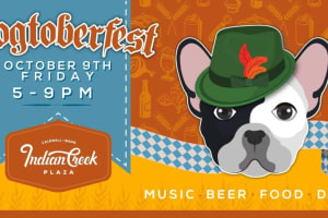 Dogtoberfest 2026