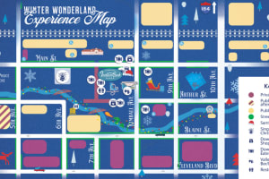 WINTER WONDERLAND FESTIVAL