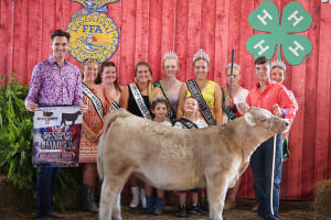 Mason County Fair Inc