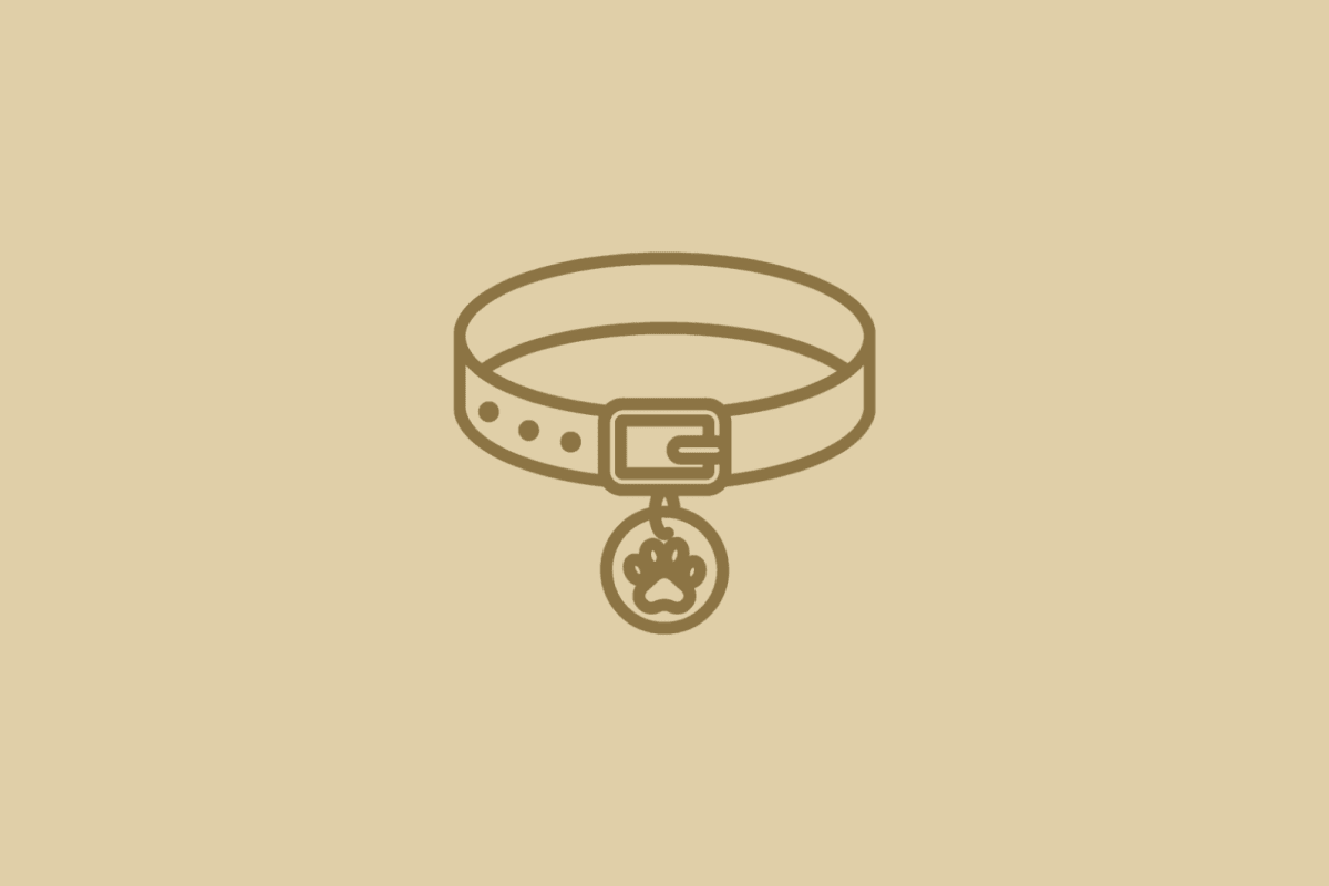 Bone and collar, Pets, Animals & Agriculture placeholder icon
