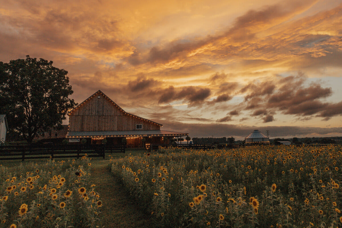 22 Acres Farm & Venue
