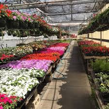 Wildwood Flora Greenhouses & Flower Farm