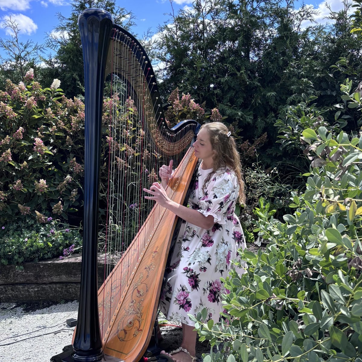 Sharon Valley Harp