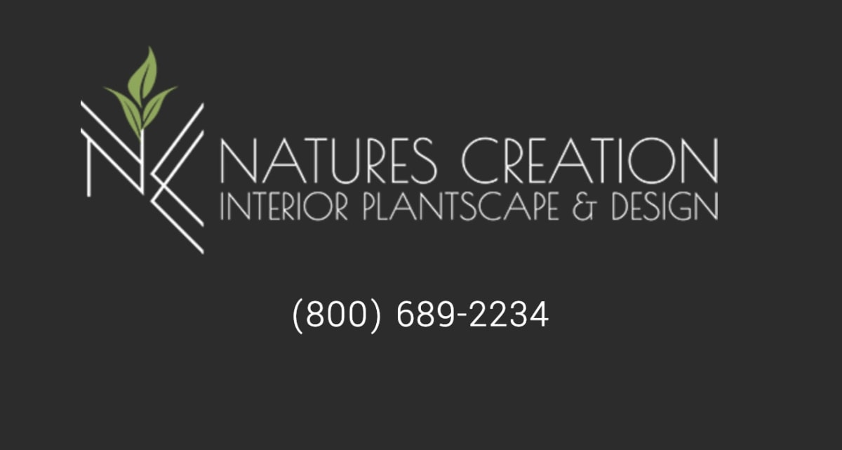 Nature’s Creation LLC
