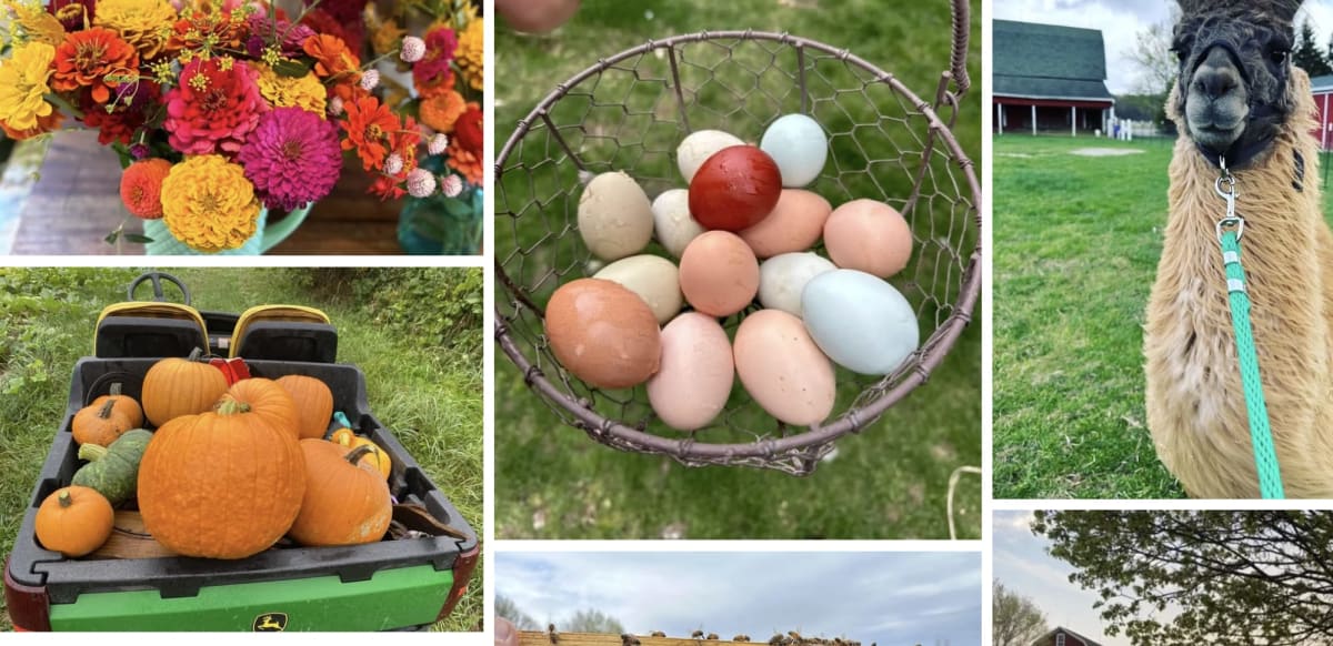 Kruger Family Farm