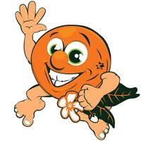 Orange Blossom Laundromat