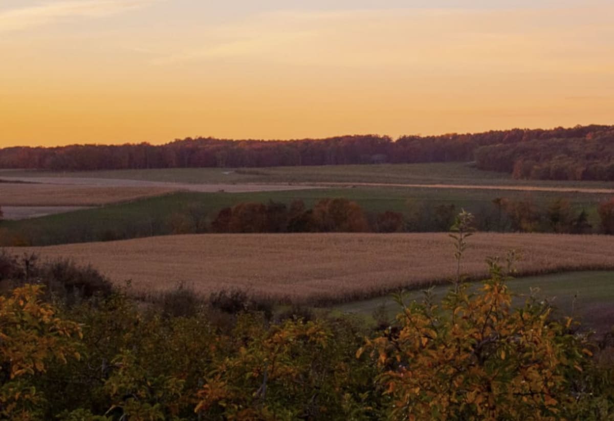 Dries Orchards Inc.