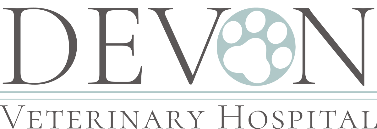 Devon Veterinary Hospital