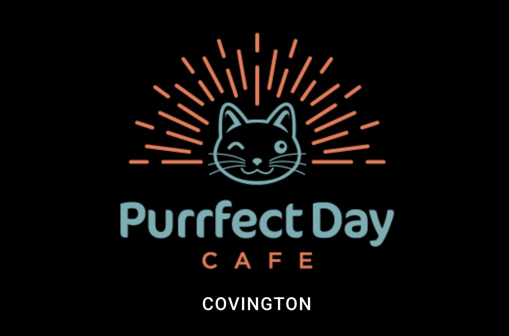  Purrfect Day Café 