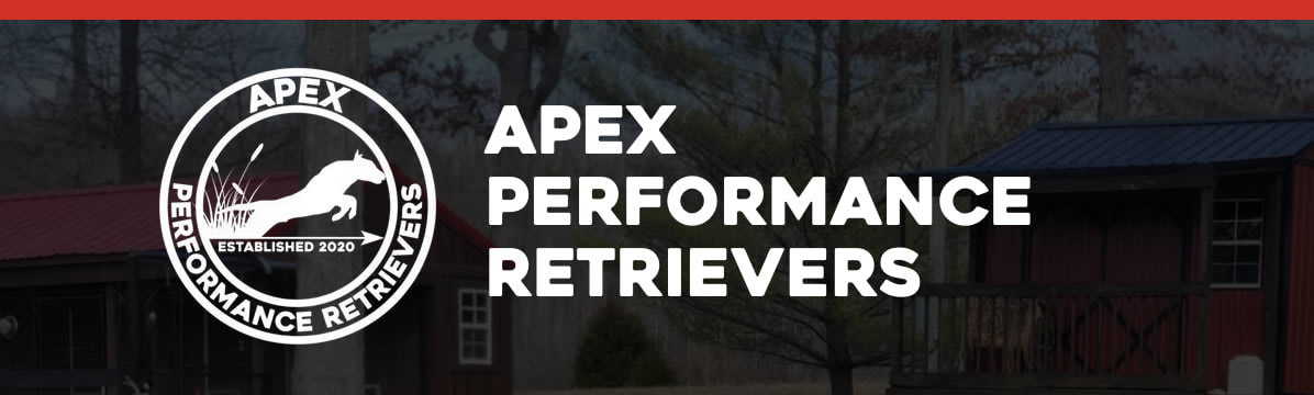 Apex Performance Retrievers