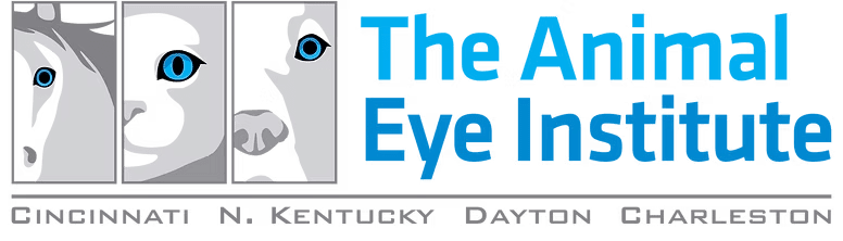 The Animal Eye Institute of Lexington