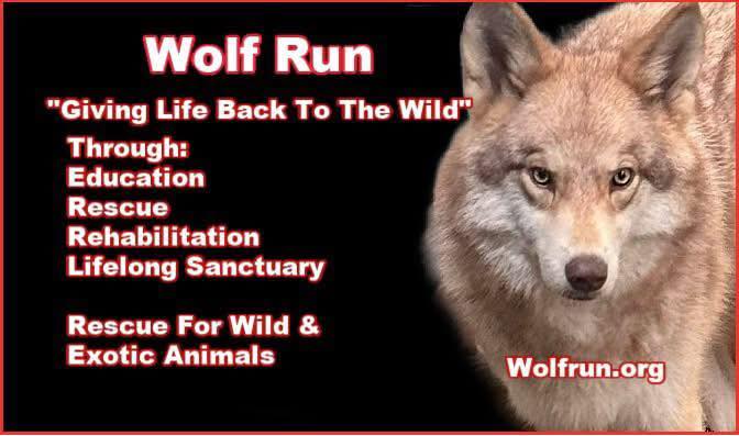 Wolf Run Wildlife Sanctuary