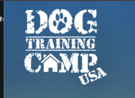 Dog Training Camp Louisville