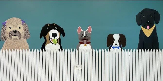 All Paws Inn