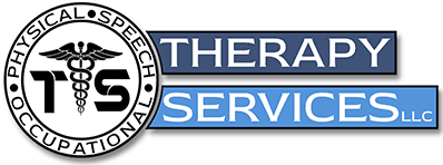 Therapy Services LLC