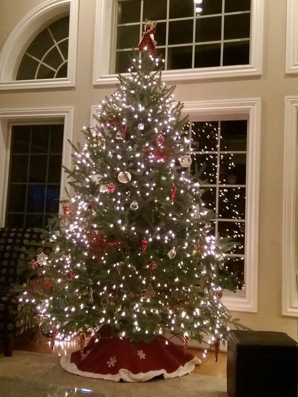  Nieman's Christmas Tree Farm