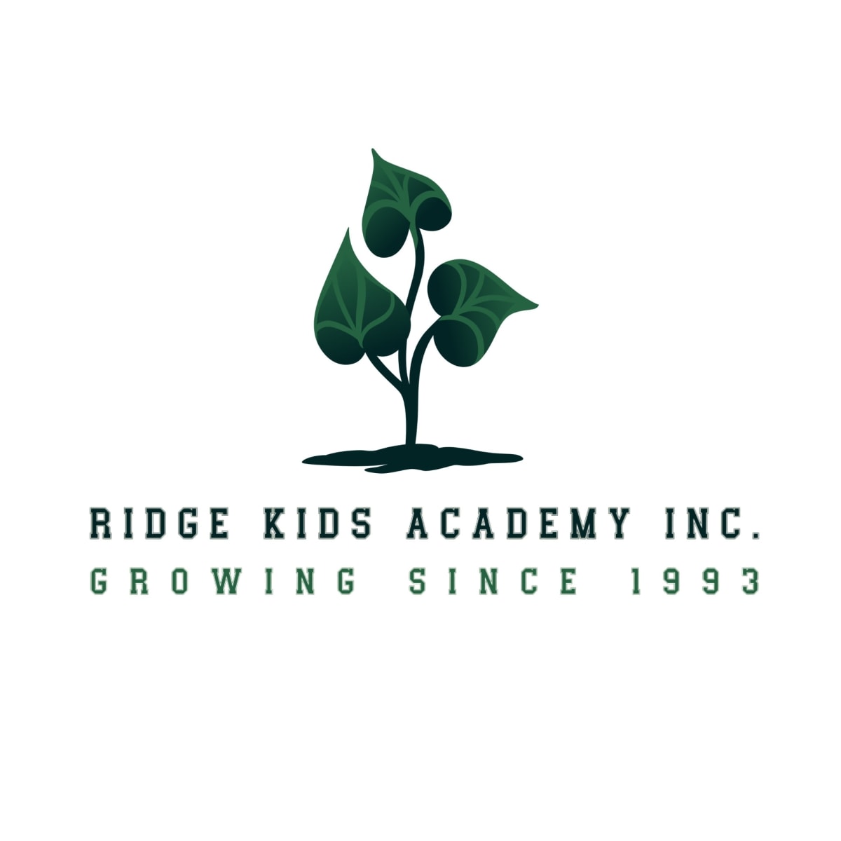 Ridge Kids Academy*Collis Campus*