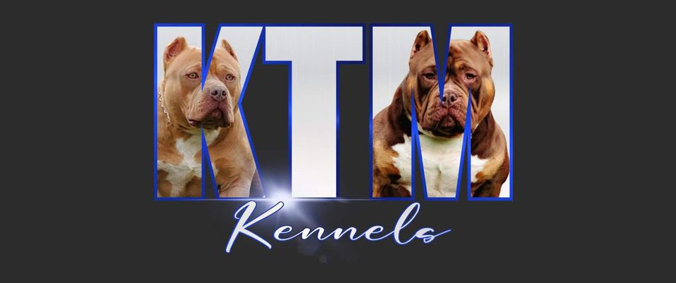 Ktm Kennels