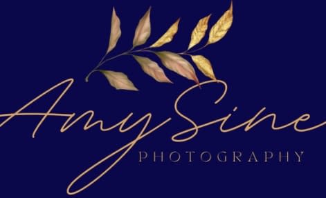 Amy Sine Photography