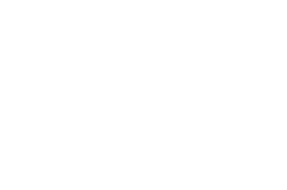 Millennium Park Foundation