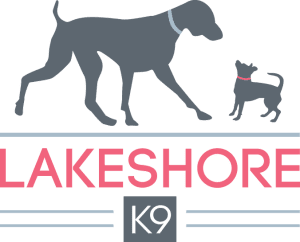 Lakeshore K9