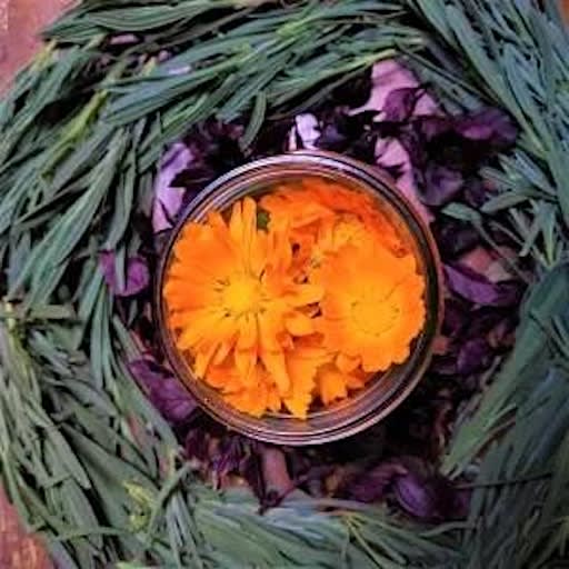 Herbal Infusions - Part 2
