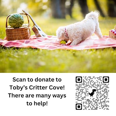 TCCR Summer Picnic