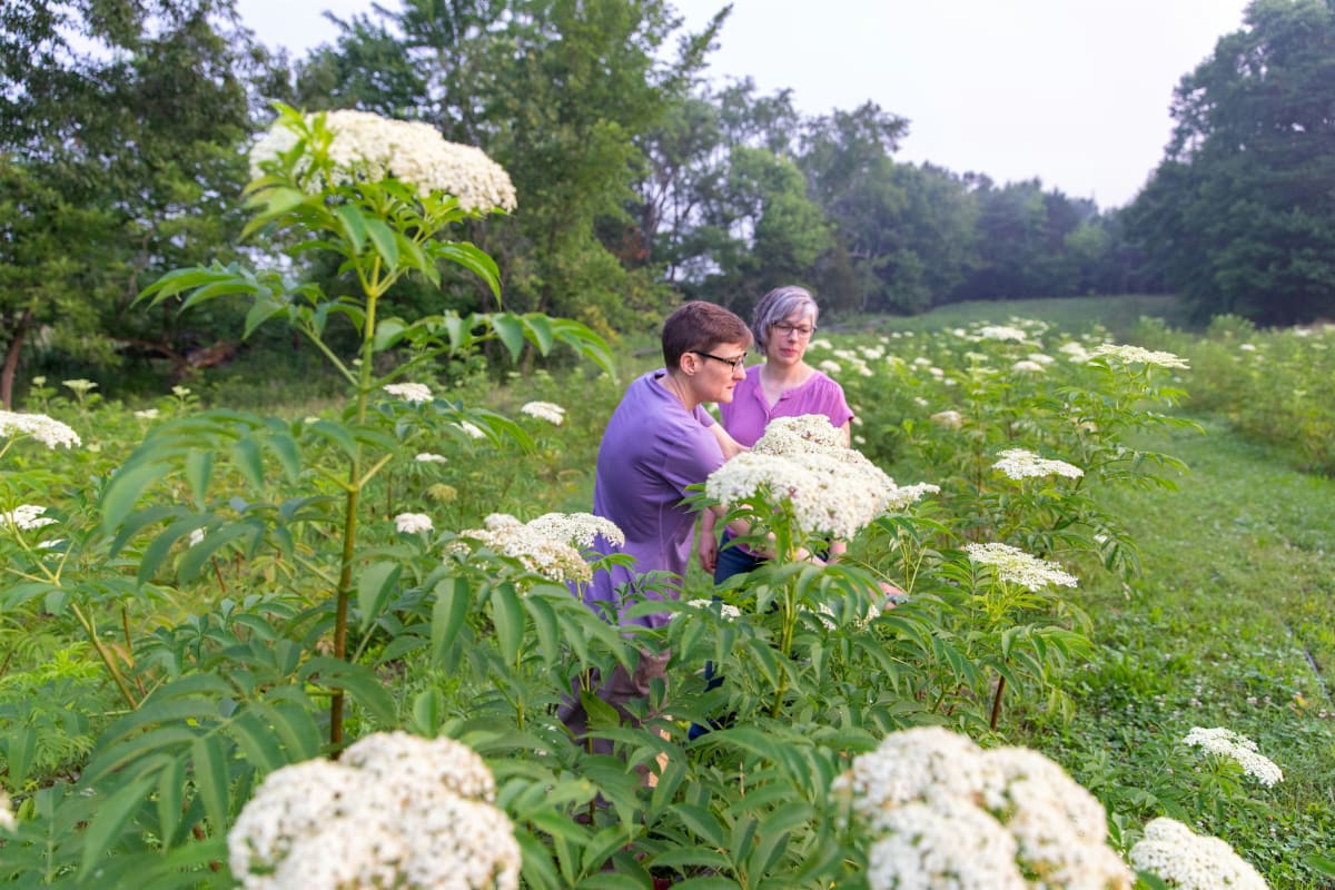 Farm Tour & Workshop: Ohio Elderberry Farm + Kitchen
