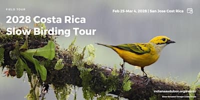 Indiana Audubon 2028 Slow Birding Costa Rica Tour