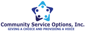 Community Service Options