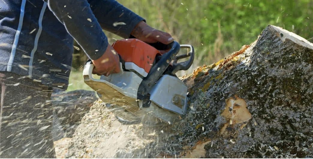 Reliable Tree Service