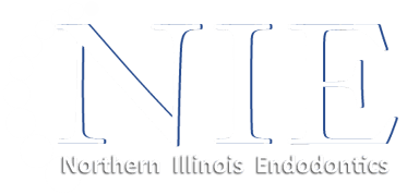 Northern Illinois Endodontics