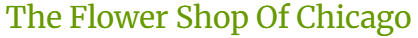 The Flower Shop of Chicago