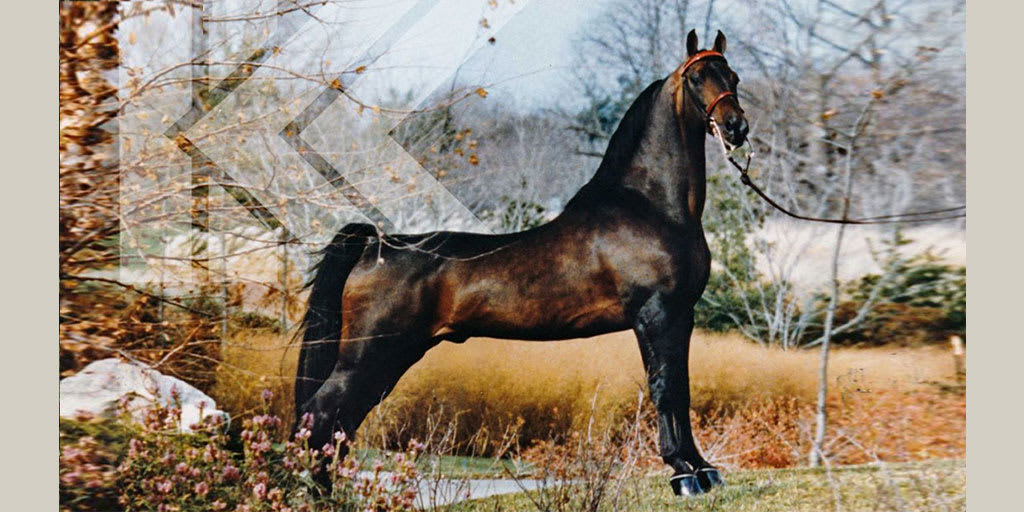 Kohler Stables