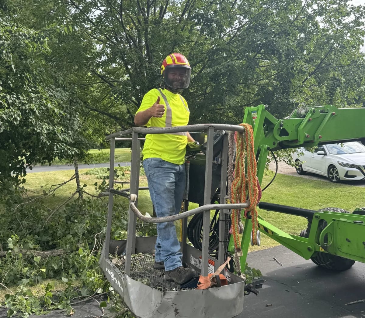 Just the Tree Guy