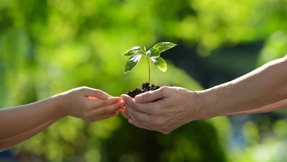Resilient Harvests: Farming with the Climate, Not Against It