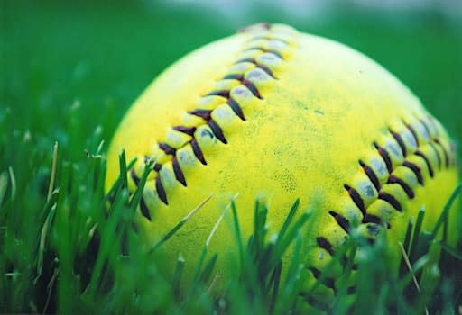 2nd Annual Pitch for Hope: Summer Finale- Softball Sign Ups
