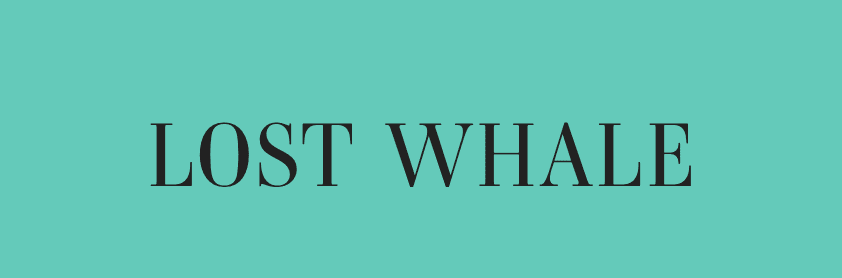 Lost Whale