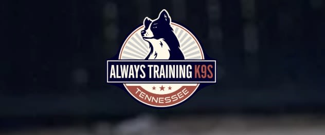Always Training K9s