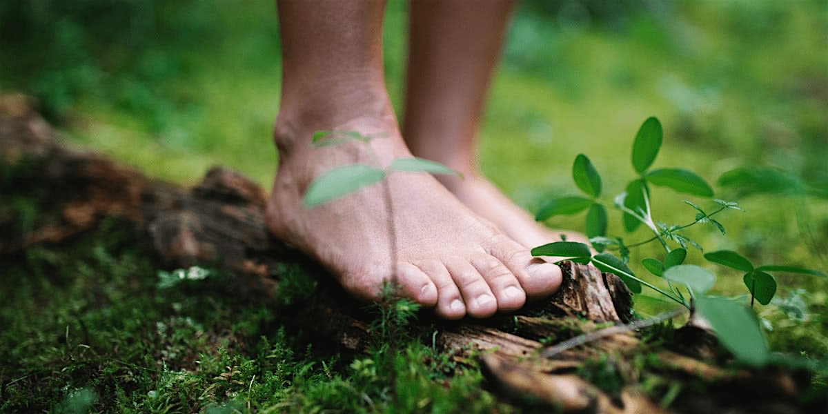 Grounded Connection: Somatics in Nature with Alexa White