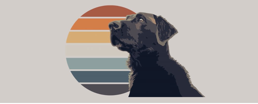 Aberlea Veterinary Life Planning
